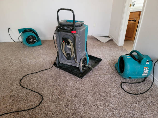 Best Carpet water damage restoration  in Remerton, GA
