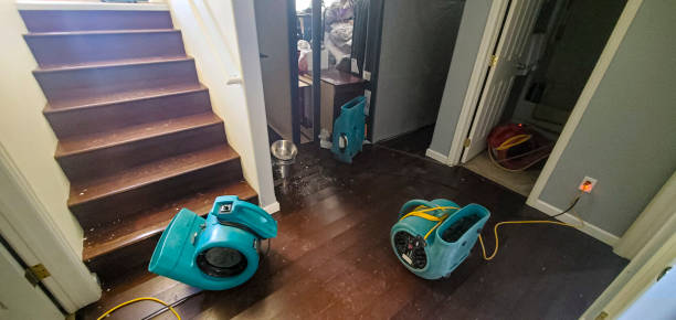 Best Flooded house restoration  in Remerton, GA