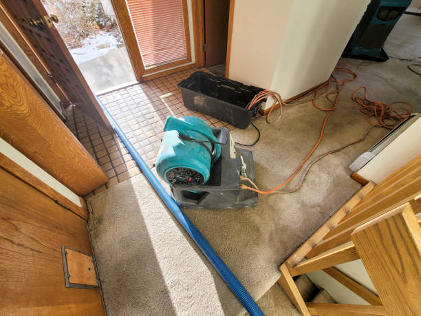 Best Flood damage cleanup  in Remerton, GA