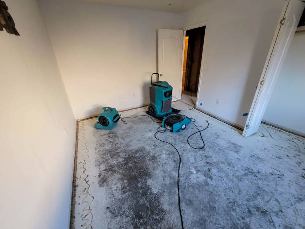 Best Emergency water damage restoration  in Remerton, GA