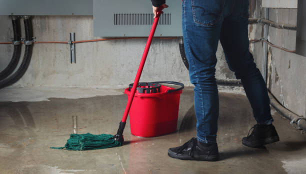 Best Water damage restoration insurance claims  in Remerton, GA