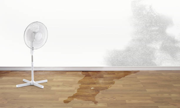 Best Commercial water damage restoration  in Remerton, GA