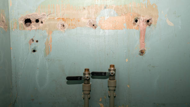 Best Emergency water damage restoration  in Remerton, GA