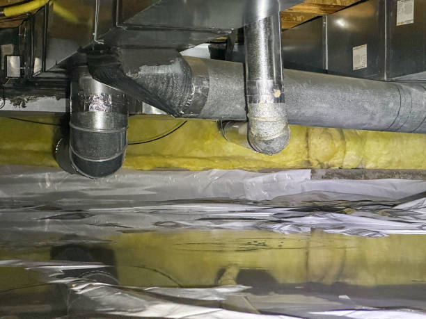 Best Sewage cleanup and water damage restoration  in Remerton, GA