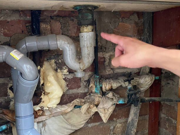 Best Water damage contractors near me  in Remerton, GA