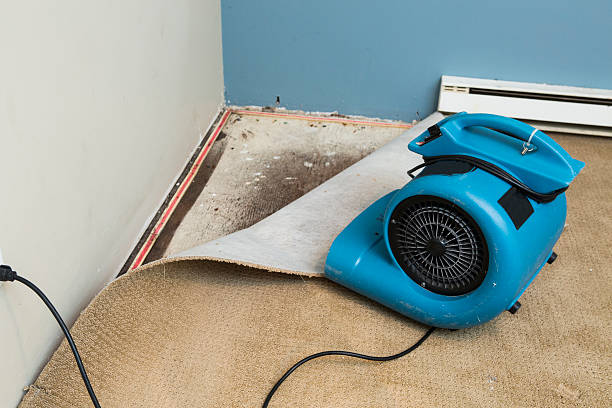 Best Fire Damage Restoration  in Remerton, GA